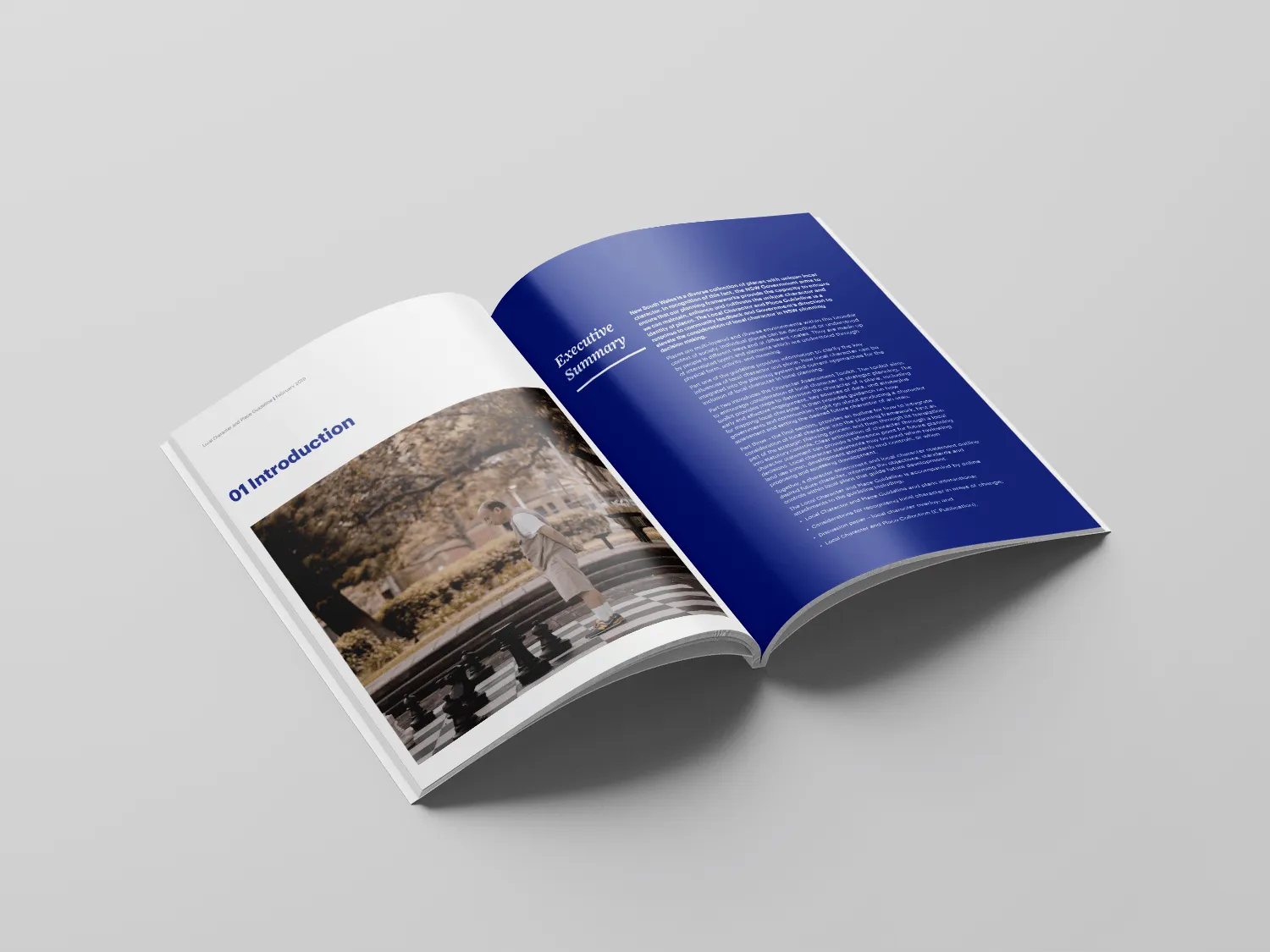 Local Character and Place Guideline open to the Introduction and Executive Summary spread