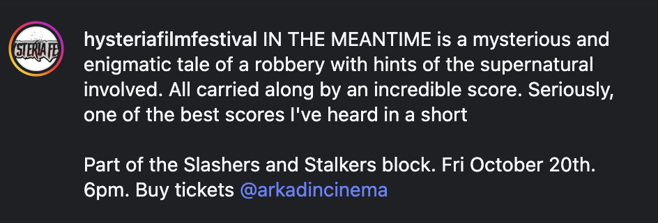 Festival reception for In the Meantime