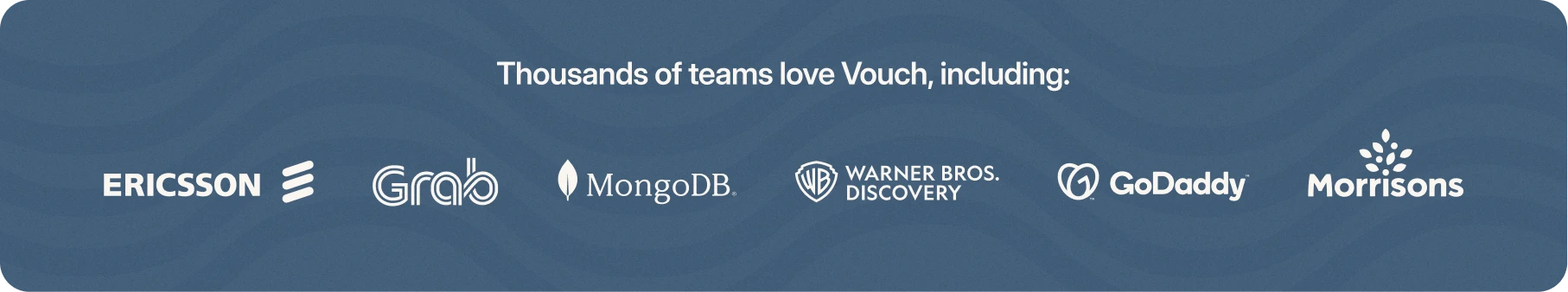Vouch brand asset
